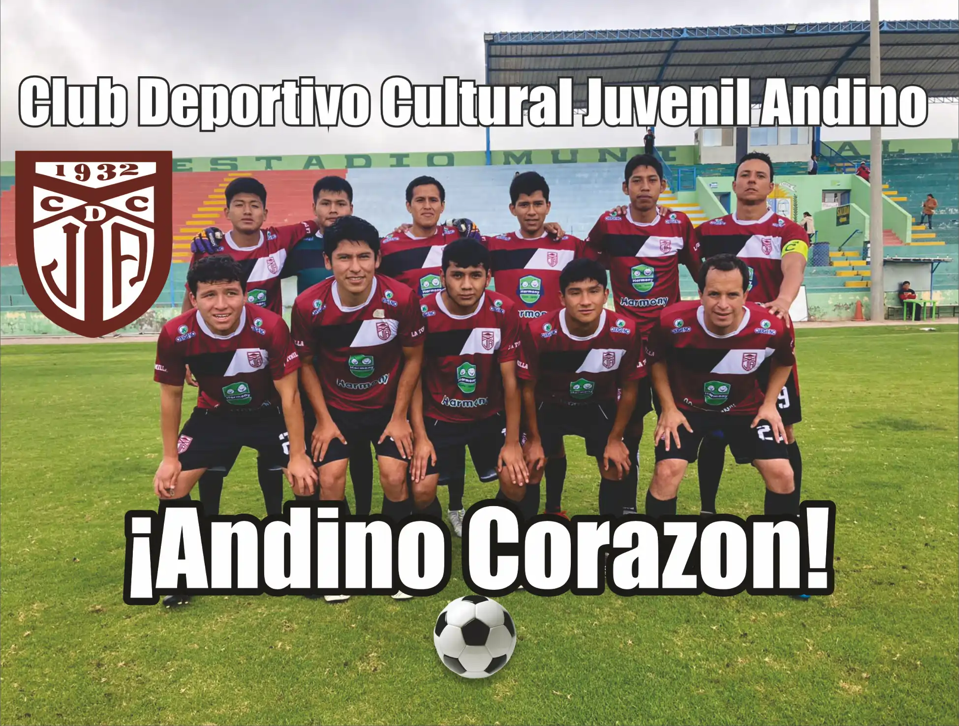 Club Juvenil Andino – “Andino Corazón” (banner)